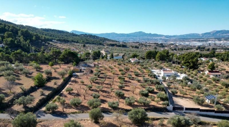 Alicante - Ibi - 10035m2