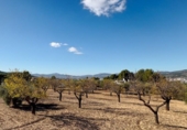 House with land for sale on España, Ibi, ref: TR400099 photo