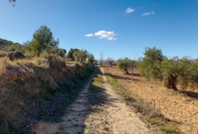 Ibi 10035&nbsp;m²