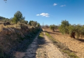 House with land for sale on España, Ibi, ref: TR400099 photo
