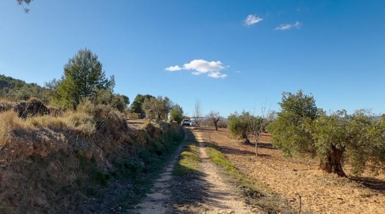 Alicante - Ibi - 10035m2