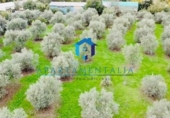 Parcel·la urbanitzable en venda a la España, Còrdova, ref.: TR387674 foto