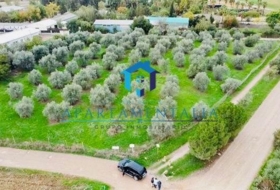 Còrdova 5000&nbsp;m² 