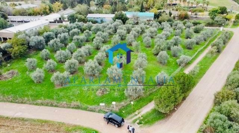 Кордова - Кордова - 5000m2