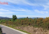 Land suitable for development for sale on España, Vilar, ref: TR387512 photo