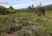 Land suitable for development for sale on España, Vilar, ref: TR387512 photo