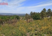 Land suitable for development for sale on España, Vilar, ref: TR387512 photo