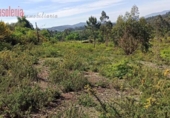 Land suitable for development for sale on España, Vilar, ref: TR387512 photo