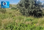 Urban land for sale on España, Mutxamel, ref: TR387578 photo