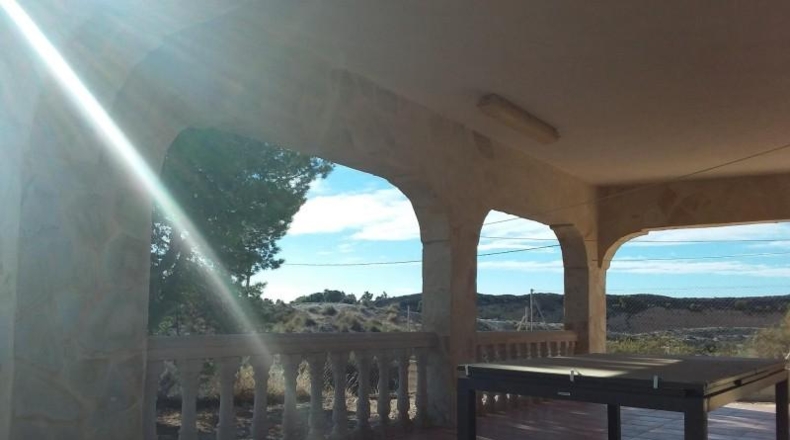 Alicante - Crevillent - 3000m2