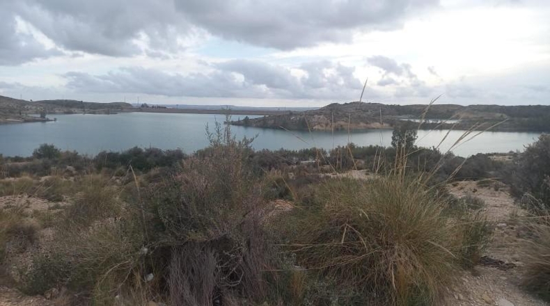 Alicante - Crevillent - 3000m2