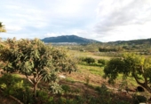Chalet independiente con terreno en venta en la España, Coín, ref: TR387606 foto