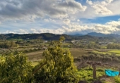 Chalet independiente con terreno en venta en la España, Coín, ref: TR387606 foto