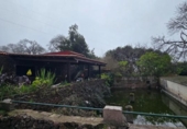 Xalet independent amb terreny en venda a la España, La Matanza de Acentejo, ref.: TR387455 foto