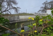 Xalet independent amb terreny en venda a la España, La Matanza de Acentejo, ref.: TR387455 foto