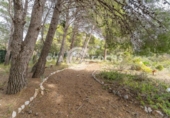Sòl urbà en venda a la España, Castellvell del Camp, ref.: TR387639 foto