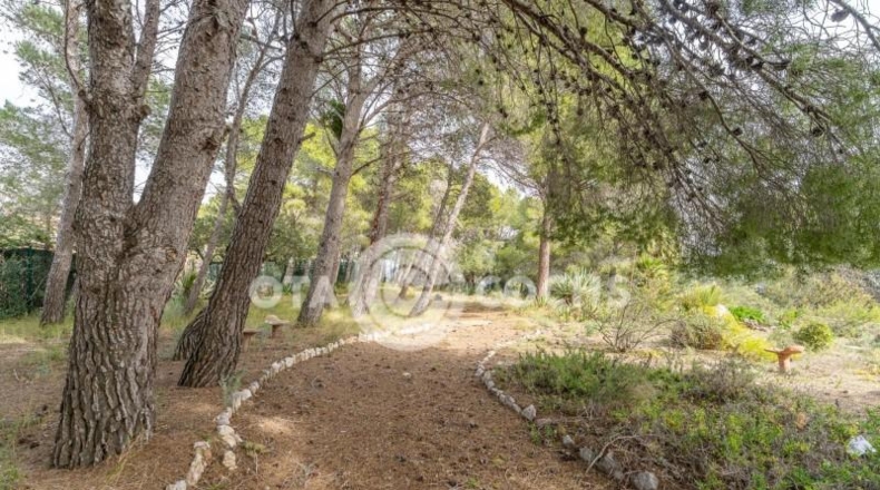 Таррагона - Castellvell del Camp - 3187m2