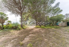 Castellvell del Camp 3187&nbsp;м²