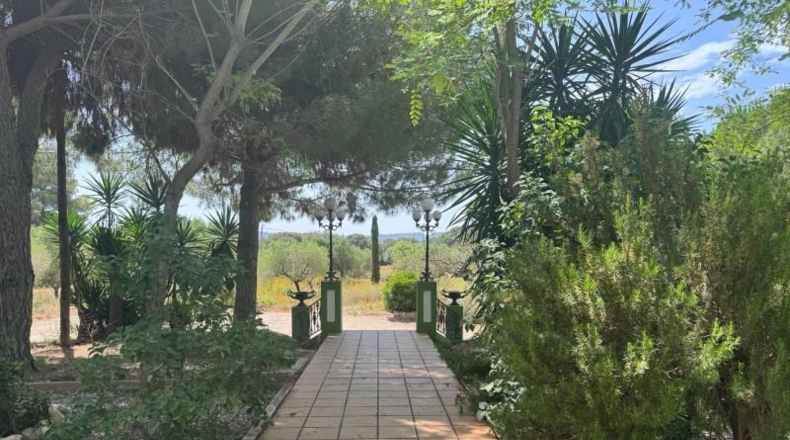 Tarragona - Santa Oliva - 21219m2