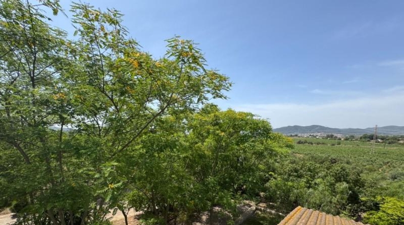 Tarragona - Santa Oliva - 21219m2
