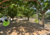 Casa de campo con terreno en venta en la España, Santa Oliva, ref: TR400103 foto