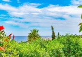 Chalet independiente con terreno en venta en la España, Campo-Mijas, ref: TR387524 foto