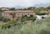 Casa de camp amb terreny en venda a la España, Alhaurín de la Torre, ref.: TR387592 foto