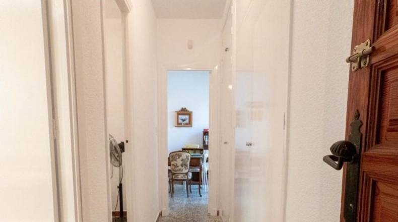 Alicante - Oriola - 800m2