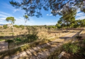 Xalet independent amb terreny en venda a la España, Sant Joan d'Alacant, ref.: TR387441 foto