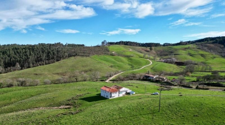 Castellón - Almenara - 63642m2
