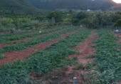 Terreny amb magatzem en venda a la Carretera de Forna, l'Atzúbia, ref.: TR387769 foto