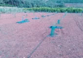 Terreny amb magatzem en venda a la Carretera de Forna, l'Atzúbia, ref.: TR387769 foto