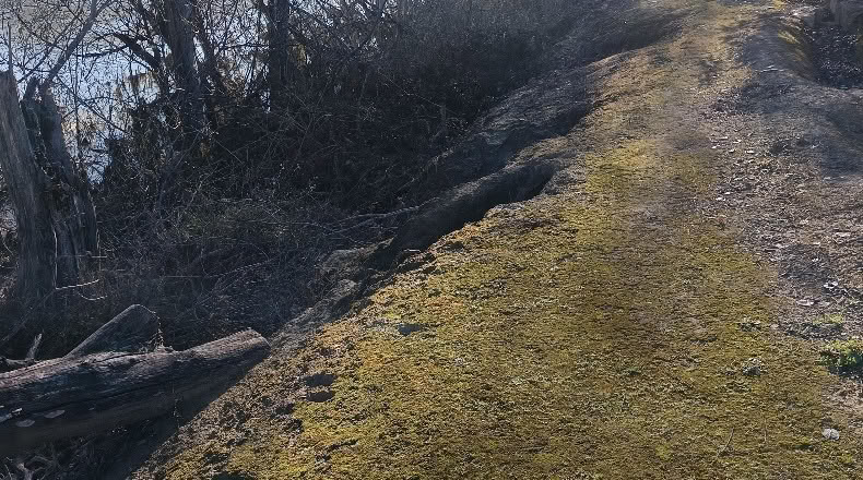 Tarragona - Xerta - 6782m2