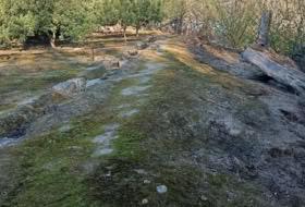 Xerta 6782&nbsp;м²