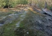 Terreny amb magatzem en venda a Xerta ref.: TR388170 foto