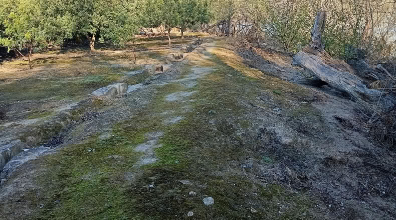 Tarragona - Xerta - 6782m2