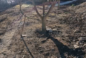 Xerta 6782&nbsp;м²