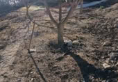 Terreny amb magatzem en venda a Xerta ref.: TR388170 foto