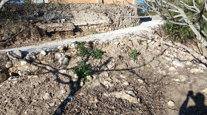 Tarragona - Xerta - 6782m2