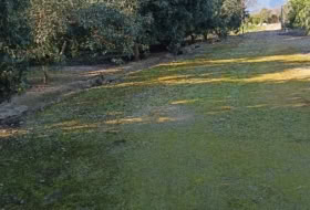 Xerta 6782&nbsp;м²