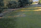 Terreny amb magatzem en venda a Xerta ref.: TR388170 foto