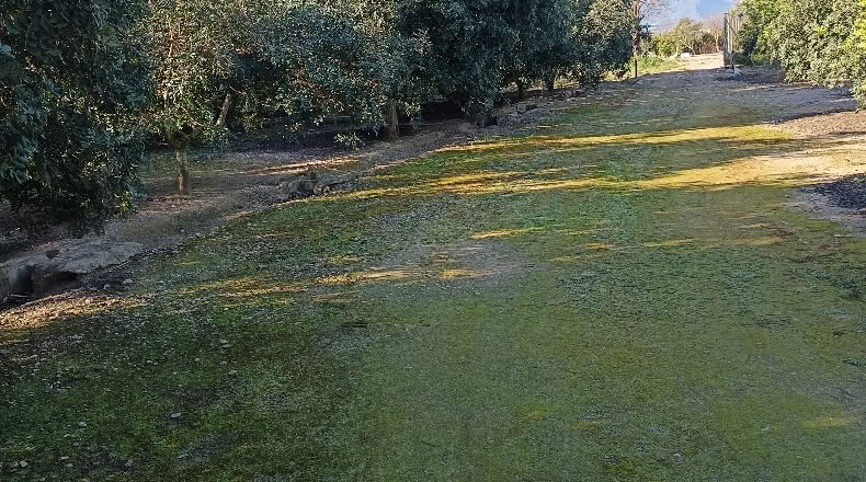 Tarragona - Xerta - 6782m2