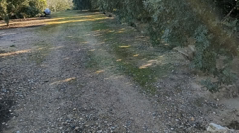 Tarragona - Xerta - 6782m2