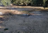 Terreny amb magatzem en venda a Xerta ref.: TR388170 foto