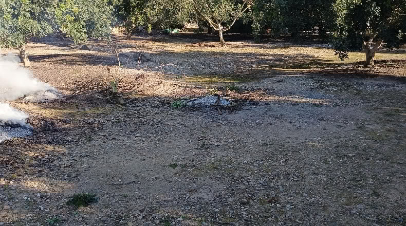 Tarragona - Xerta - 6782m2