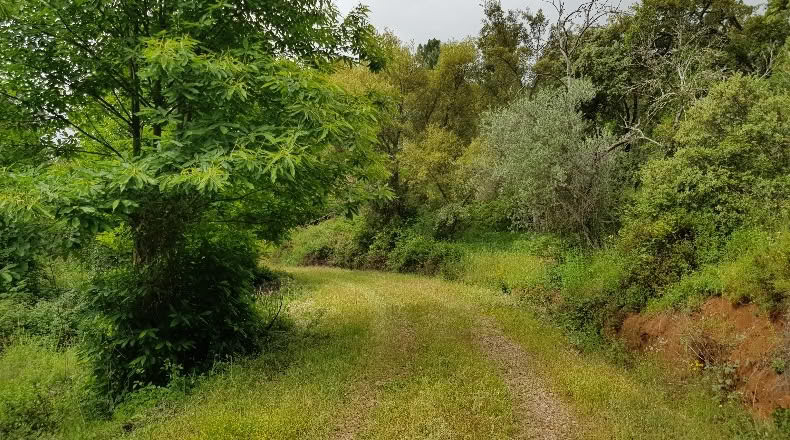 Huelva - Jabugo - 134550m2