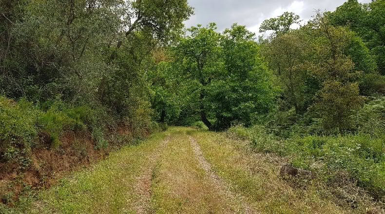 Huelva - Jabugo - 134550m2