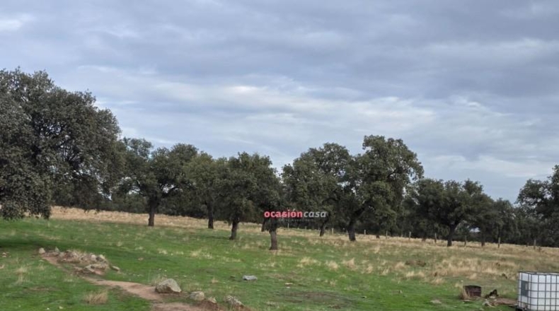 Córdoba - Torrecampo - 53151m2