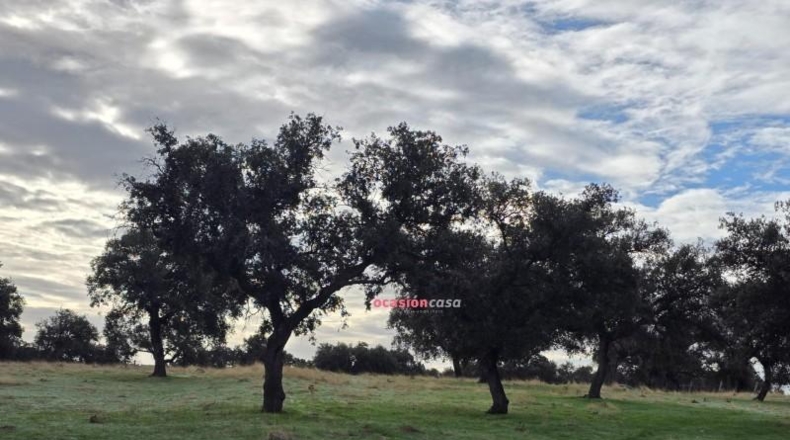 Córdoba - Torrecampo - 53151m2