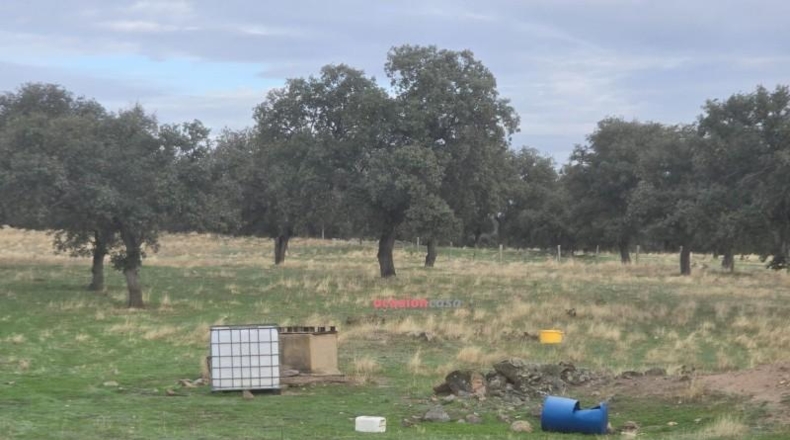Córdoba - Torrecampo - 53151m2